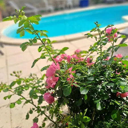 La Maisonnette Avec Spa, Piscine Et Climatisation Σπίτι διακοπών *